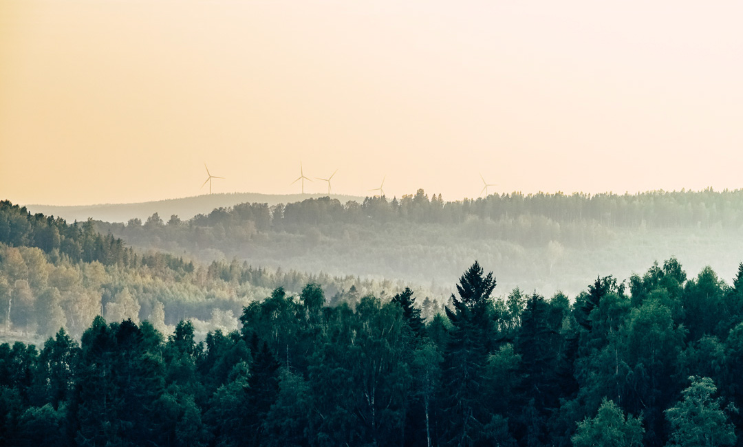 skog-vindkraft-1080x650